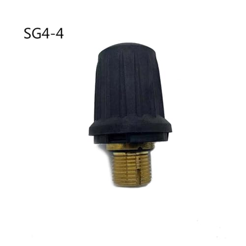 Kompatibel Mit KARCHER Dampfreiniger-Zubehör SC1 SC2 SC4 SC5 CTK10 SG4-4 Messing-Sicherheitsventil-Kit Hausgeräteteil(SG4-4) von FTEZKQDTR