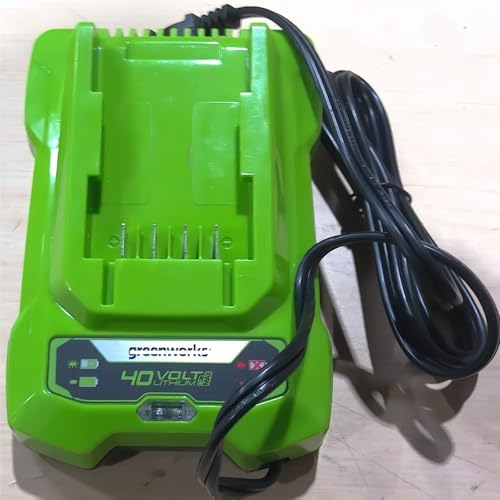 G40C 40 V Lithium-Akkupack, elektrische Kettensäge, Rasenmäher, Heckenschere, Hochastsäge, 2 A Ladegerät 230 V. Kompatibel mit Greenworks 40 V 29462 29472, elektrisches Gartenwerkzeug G40C 40 V Lithium-Akkupack, elektrische Kettensäge, Rasenmäher, Heckenschere, Hochastsäge, 2 A Ladegerät 230 V. Kompatibel mit Greenworks 40 V 29462 29472, elektrisches Gartenwerkzeug von FTGADRYF