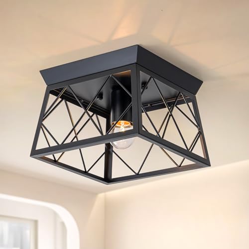 FTL Schwarz Deckenleuchte, E27 Industrial Deckenlampe, 1-Flammig Retro Flurlampe, Metall in Käfigform Vintage Wohnzimmerlampe, LED Quadrat Deckenleuchten, Deckenbeleuchtung für Wohnzimmer Flur Eingang von FTL