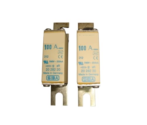 1 stücke Sicherungen NH000 100A 690V 2028220 / NH000 110A 125A 150A 160A 180A 200A 225A 250A 315A 690V / NH000 350A 400A 500V 2028220 2028221(NH000 250A 2028220) von FTMRBOQI