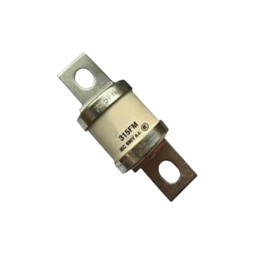 180FM 180A 200FM 200A 225FM 225A 250FM 250A 280FM 280A 315FM 315A 350FM 350A Sicherung AC 690V(250FM 250A) von FTMRBOQI