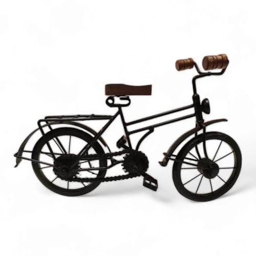 FTWDesign Dekoartikel Herren Fahrrad Dekoobjekt aus Metall in Schwarz von FTWDesign