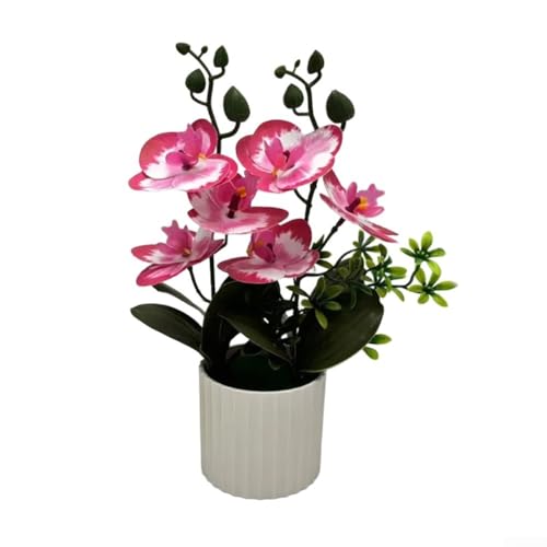 Indoor Phalaenopsis Pflanzensimulation, perfekt gestalteter Bonsai für Ihre Heim- und Büroumgebung (Rosa) von FUANA