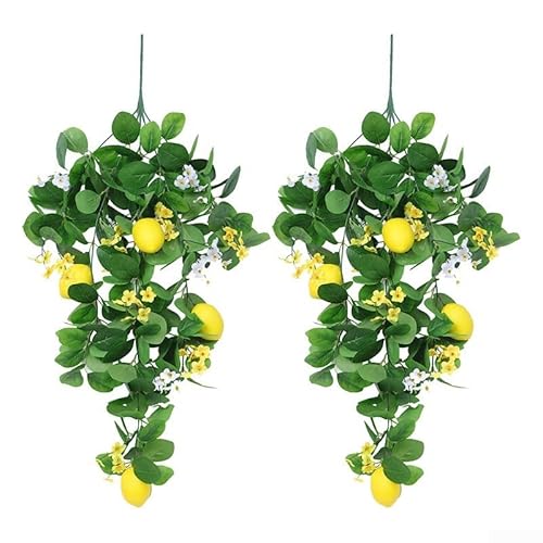 Set mit 2 dekorativen Wandstücken aus künstlichem Zitronenrattan, für Esstisch und Wand, fügt botanische Eleganz zu mehreren Einrichtungen zu Hause hinzu Set mit 2 dekorativen Wandstücken aus künstlichem Zitronenrattan, für Esstisch und Wand, fügt botanische Eleganz zu mehreren Einrichtungen zu Hause hinzu von FUANA