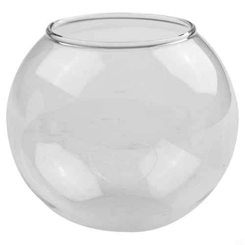 1 x transparente Vase aus Borosilikatglas für Sukkulenten und Terrarien (B) von FUBESK