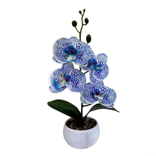 3D-bedruckter Blumentopf mit Phalaenopsis-Design für auffällige Präsentation (blau) von FUBESK