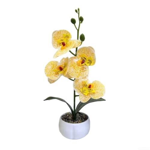 3D-bedruckter Blumentopf mit Phalaenopsis-Design für auffällige Präsentation (gelb) von FUBESK