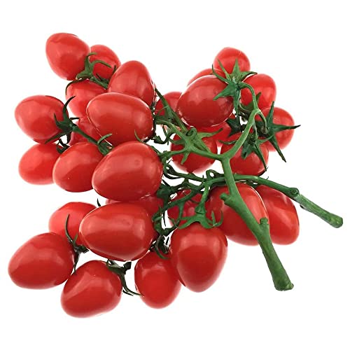 FUBESK Artificail Tomaten, gefälschte Tomaten zur Dekoration, künstliches Gemüse, Tomaten, künstliche rote Weinrebe, 19 cm, Obst und Gemüse von FUBESK