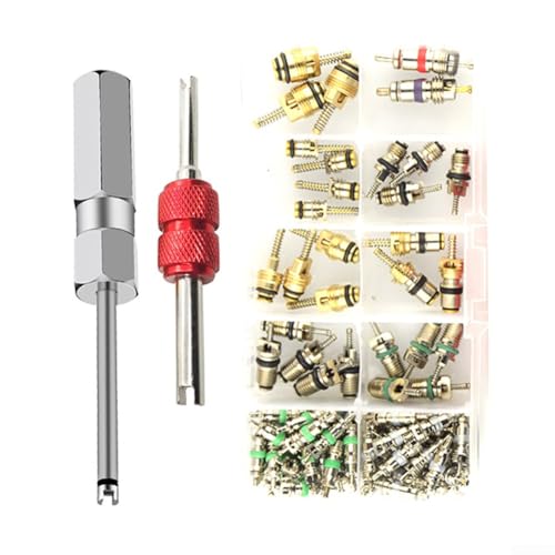 Umfassendes 102-teiliges AC R12 R134a Auto-Klimaanlagen-Reifenventil-Reparaturwerkzeug-Set mit 2 Doppelfunktionswerkzeugen für Fahrzeugkühlsystem-Wartung von FUBESK