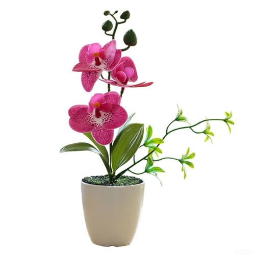 Wunderschöne, realistische künstliche Blumentöpfe mit atemberaubenden Phalaenopsis-Blüten für verschiedene Umgebungen (rot lila) von FUBESK