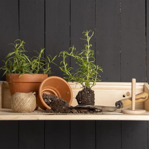 FUDUGEHMIOFWFJJ Gartenstühle mit Kissen 4 STK. Massivholz Teak Outdoor Gartenmöbel Set für Terrasse Balkon Garten, Wetterfest & Bequem mit Polster, Hochwertige Holzstühle von FUDUGEHMIOFWFJJ