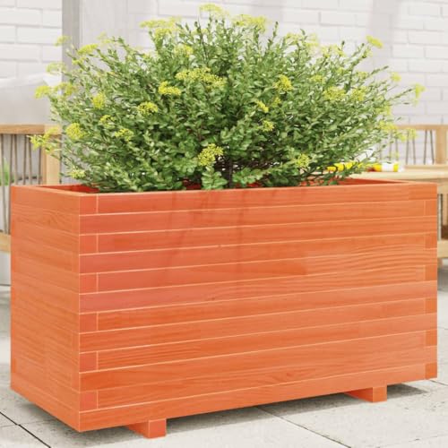 FUDUGEHMIOFWFJJ Nachttisch 40x34x46 cm Massivholz Mango Nightstand with Drawer and Shelf, Bedroom Side Table with Storage, Solid Wood End for Living Room, Bedside Table with Easy Assembly FUDUGEHMIOFWFJJ Nachttisch 40x34x46 cm Massivholz Mango Nightstand with Drawer and Shelf, Bedroom Side Table with Storage, Solid Wood End for Living Room, Bedside Table with Easy Assembly von FUDUGEHMIOFWFJJ