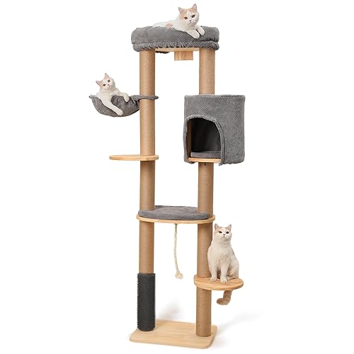 FUKUMARU Kratzbaum für Katzen,188 cm Wandmontage, Katzenbaum mit Katzenbett, Kratzpfosten, Katzenbürste und Kratzmatte aus Jute, Katzenkratzbaum aus natürlichem massivem Gummibaumholz, dunkelgrau FUKUMARU Kratzbaum für Katzen,188 cm Wandmontage, Katzenbaum mit Katzenbett, Kratzpfosten, Katzenbürste und Kratzmatte aus Jute, Katzenkratzbaum aus natürlichem massivem Gummibaumholz, dunkelgrau von FUKUMARU