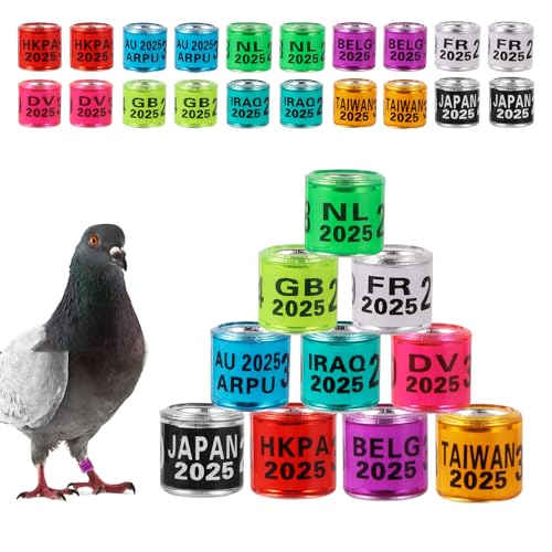 100Pcs Multicolor Aluminium Taubenbeinringe Taubenbeinringe Identifizieren Bänder Kunststoff mit 2025 Training Identifizieren Vögel Fußring von FULAIERGD