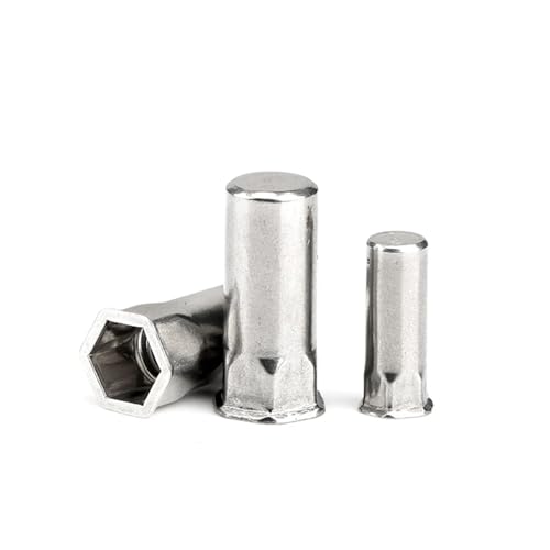 FULIMEI M3-M12 Blindloch-Nietmuttern mit kleinem Kopf, Halbsechskant-Nietmuttern aus Edelstahl 304(M12 (20 pieces)) von FULIMEI