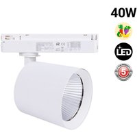 Fumagalli - led 1-Phase-Schienenstrahler 40W - Obst und Gemüse von FUMAGALLI