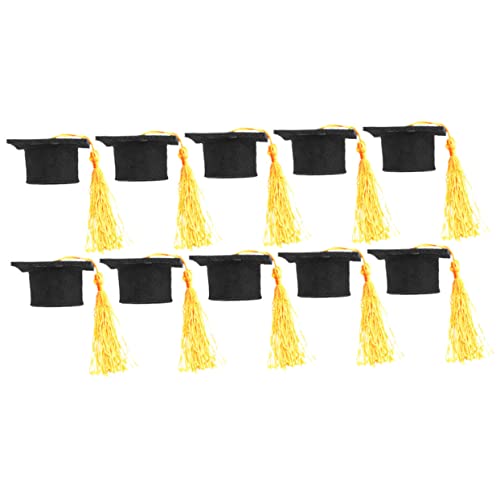 FUNNETOYU 10 Stücke Mini Doktoranden-level-research-team Kappe Flasche Graduierung Hut Flasche Topper Handwerk Set von FUNNETOYU