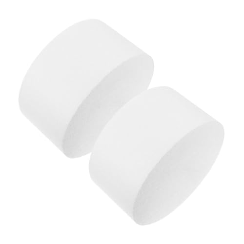 FUNNETOYU 2 Stück Teiliges Schaumstoff Kuchenmodell Realistische Runde Cake Decorating Practice Dummy Leicht zu Reinigen Standardgroß für Übung und Diy Tortendekoration von FUNNETOYU