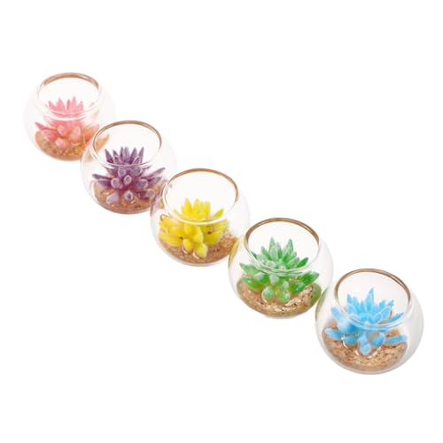 FUNNETOYU 5 Stück Miniatur Sukkulenten Pflanzen mit Bunten Künstlichen Blumentöpfen Miniatur Gartendekoration für Puppenhaus Vielseitige Mini Pflanzendeko für Schreibtisch und Regale von FUNNETOYU