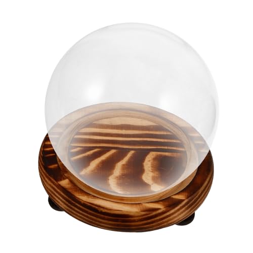 FUNNETOYU Transparente Glasglocke mit Holzsockel Staubschutz Glasvitrine für Sammlerstücke und Dekorationen Schutzdisplay für Konservierte Blumen und Figuren von FUNNETOYU