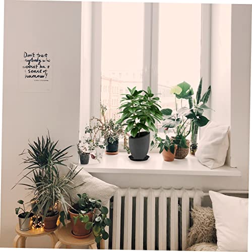 FUNOMOCYA 10 Stück Teiliges Pflanzentopf Untersetzer aus Robustem Kunststoff Runde Blumentopf Paletten mit Glatter Oberfläche und Leicht zu Reinigen Geeignet für Zimmerpflanzen und Bonsai FUNOMOCYA 10 Stück Teiliges Pflanzentopf Untersetzer aus Robustem Kunststoff Runde Blumentopf Paletten mit Glatter Oberfläche und Leicht zu Reinigen Geeignet für Zimmerpflanzen und Bonsai von FUNOMOCYA