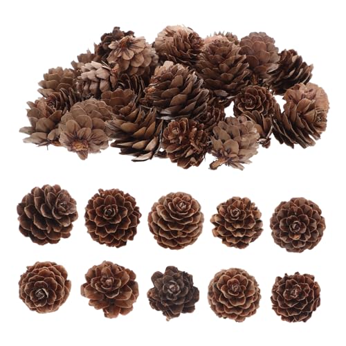 FUNOMOCYA 100 Stück Natürliche Kiefernzapfen für Weihnachtsbaum Dekorationen Vielseitige Pinecone Ornamente für Tischdeko Kränze Bastelprojekte und Herbstliche Vasenfüllung FUNOMOCYA 100 Stück Natürliche Kiefernzapfen für Weihnachtsbaum Dekorationen Vielseitige Pinecone Ornamente für Tischdeko Kränze Bastelprojekte und Herbstliche Vasenfüllung von FUNOMOCYA