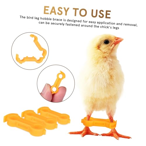 FUNOMOCYA 12 Stück Teiliges Küken Beinspreizer aus Stabilem Kunststoff Flexible für Neugeborene Küken Enten Papageien Einfache Anwendung Langlebige Vogel Beinkorrekturhilfe von FUNOMOCYA