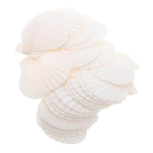 FUNOMOCYA 21Stücke Natürliche Muscheln für Kreative DIY Projekte Dekoration für Aquarien Heimdekoration Große Muscheln Vielseitig Einsetzbar für Unterwasserlandschaften FUNOMOCYA 21Stücke Natürliche Muscheln für Kreative DIY Projekte Dekoration für Aquarien Heimdekoration Große Muscheln Vielseitig Einsetzbar für Unterwasserlandschaften von FUNOMOCYA