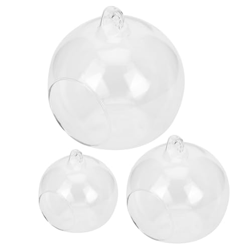 FUNOMOCYA 3 Stück Hängende Glasvase 8x8cm 10x10cm 12x12cm Klarglas Selbstgemacht Mikrolandschaftsbehälter Terrarien Für Pflanzen Dekoration Für Zuhause Und Büro FUNOMOCYA 3 Stück Hängende Glasvase 8x8cm 10x10cm 12x12cm Klarglas Selbstgemacht Mikrolandschaftsbehälter Terrarien Für Pflanzen Dekoration Für Zuhause Und Büro von FUNOMOCYA