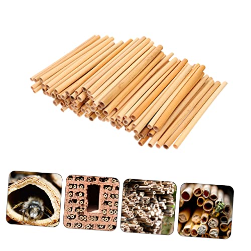 FUNOMOCYA 50 Stück Natürliche Schilfrohr bienenröhren Langlebige Wiederverwendbare Nisthilfen für Wildbienen Installieren für Garten und DIY Bienenstöcke FUNOMOCYA 50 Stück Natürliche Schilfrohr bienenröhren Langlebige Wiederverwendbare Nisthilfen für Wildbienen Installieren für Garten und DIY Bienenstöcke von FUNOMOCYA