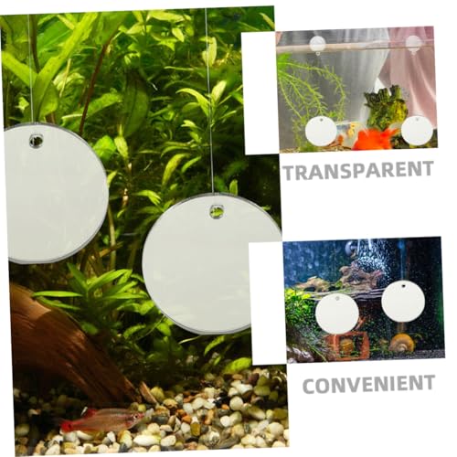 FUNOMOCYA Doppelseitiger Betta Trainingsspiegel mit Schwimmender Kugel und Schnur Aquarium Spiegel zur Fischbeobachtung und Verhaltensförderung Flexibel im Fischbecken Platzierbar FUNOMOCYA Doppelseitiger Betta Trainingsspiegel mit Schwimmender Kugel und Schnur Aquarium Spiegel zur Fischbeobachtung und Verhaltensförderung Flexibel im Fischbecken Platzierbar von FUNOMOCYA