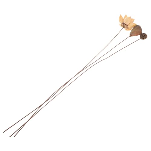 FUNOMOCYA Getrocknete Lotusblüte Deko im Zen Stil Rustikal Chinesisches Trockenblumen Arrangement für Tisch Wohnzimmer Büro Hochzeit Natürliche Ästhetische Raumdekoration FUNOMOCYA Getrocknete Lotusblüte Deko im Zen Stil Rustikal Chinesisches Trockenblumen Arrangement für Tisch Wohnzimmer Büro Hochzeit Natürliche Ästhetische Raumdekoration von FUNOMOCYA