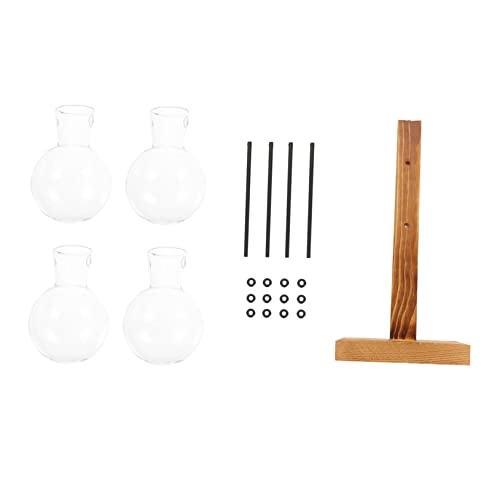 FUNOMOCYA Glasvase Mit Holzgestell Für Hydroponik Klare Hydroponikvase Als Tischdeko Dekorative Wohnzimmervase Für Pflanzen Und Blumen FUNOMOCYA Glasvase Mit Holzgestell Für Hydroponik Klare Hydroponikvase Als Tischdeko Dekorative Wohnzimmervase Für Pflanzen Und Blumen von FUNOMOCYA