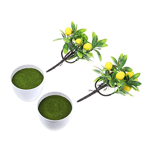 FUNOMOCYA Künstlicher Zitronenbaum Im Topf Mini Bonsai Baum Simulation Kunstpflanze Für Küche Büro Heimdekoration von FUNOMOCYA