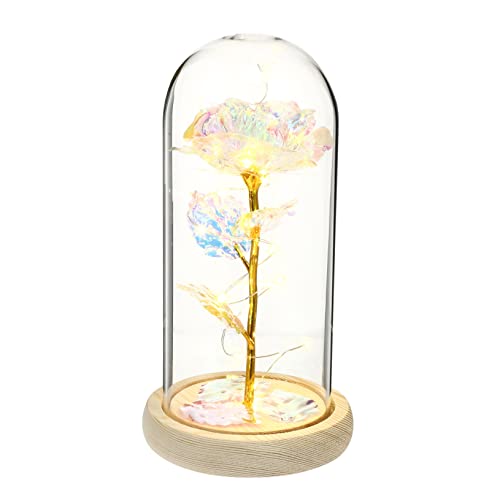 FUNOMOCYA LED Glasrose mit Warmweißer Lichterkette Dekorative Künstliche im Glasdom mit DREI Blättern Romantisches Valentinstagsgeschenk für Damen Stilvolle Deko für Zuhause und Büro von FUNOMOCYA