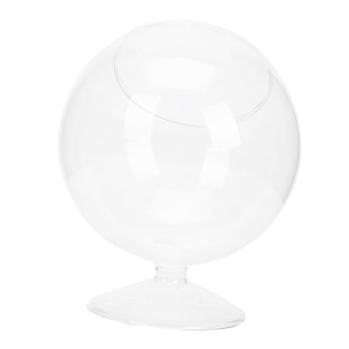 FUNOMOCYA Landscape Glasflasche Ø Hochborosilikat Glas Vase für Hydroponische Pflanzen Succulents Pflanzgefäß Multifunktional Leicht zu Reinigen Dekoratives DIY Mikrolandschaftselement FUNOMOCYA Landscape Glasflasche Ø Hochborosilikat Glas Vase für Hydroponische Pflanzen Succulents Pflanzgefäß Multifunktional Leicht zu Reinigen Dekoratives DIY Mikrolandschaftselement von FUNOMOCYA