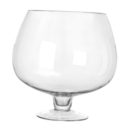 FUNOMOCYA Transparentes Glas Goldfisch-Aquarium Multifunktionaler Desktop Betta Tank Mikrolandschaft Hydroponik Vase Pflanzgefäß für Zuhause und Büro FUNOMOCYA Transparentes Glas Goldfisch-Aquarium Multifunktionaler Desktop Betta Tank Mikrolandschaft Hydroponik Vase Pflanzgefäß für Zuhause und Büro von FUNOMOCYA