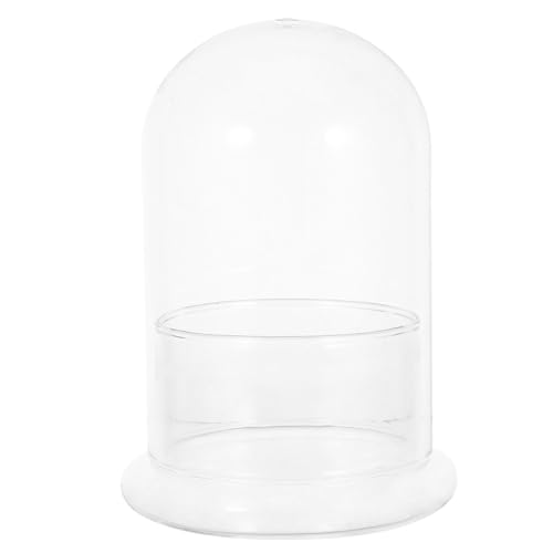 FUNOMOCYA Transparentes Glas-Terrarium Ø DIY Mini-Landschaft Hydroponische Pflanzenvase Glasglocke für Moos Sukkulenten Kleine Zimmerpflanzen für Schreibtisch Enge Räume von FUNOMOCYA