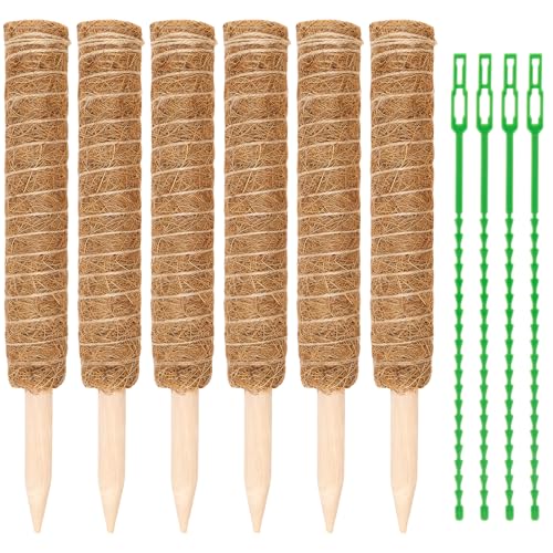 FUNSUEI 6 Stück Rankhilfe Monstera, 40cm Moosstab für Monstera Pflanzen, Kokosstab Monstera, Pflanzstab Monstera für Haus Garten Kletterpflanzen Zimmerpflanzen Pflanzenunterstützung FUNSUEI 6 Stück Rankhilfe Monstera, 40cm Moosstab für Monstera Pflanzen, Kokosstab Monstera, Pflanzstab Monstera für Haus Garten Kletterpflanzen Zimmerpflanzen Pflanzenunterstützung von FUNSUEI