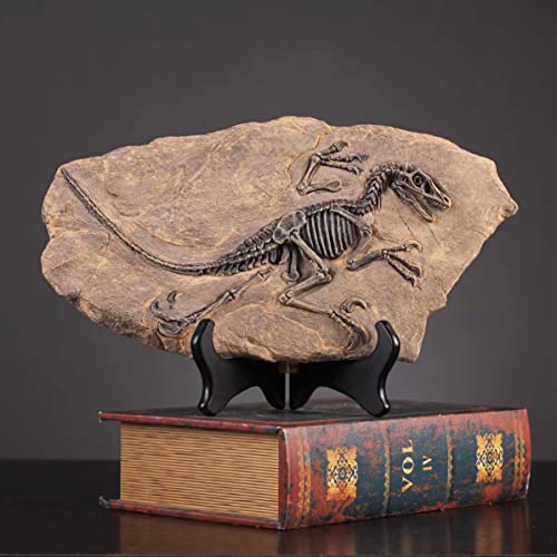 FUNSXBUG Harz Velociraptor Dinosaurier Skelett Fossil Statue Figuren Skulptur Sammlerstücke Home Office Desktop Display Dekoration (Dinosaurier 1) von FUNSXBUG