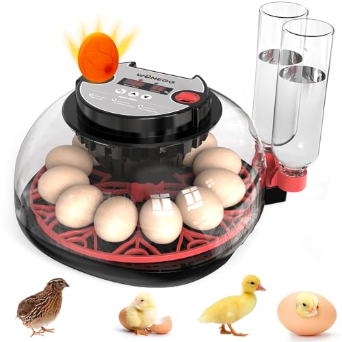 FUNTEN Inkubator Brutmaschine für 12-24 Eier mit automatischer Eierwende, Feuchtigkeitskontrolle und Inkubatoren für Eierkerzen zum Schlüpfen von Eiern FUNTEN Inkubator Brutmaschine für 12-24 Eier mit automatischer Eierwende, Feuchtigkeitskontrolle und Inkubatoren für Eierkerzen zum Schlüpfen von Eiern von FUNTEN