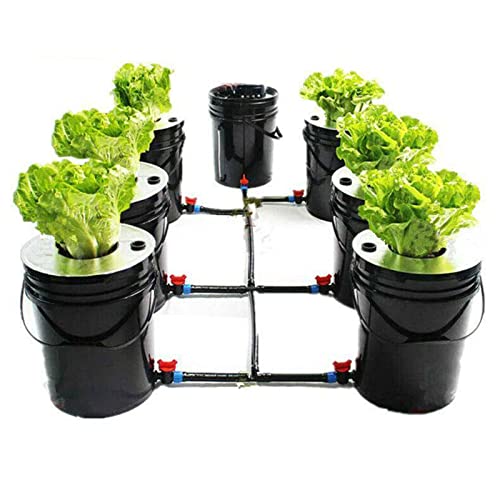 FUNYSF 20L Hydroponic Growing System Kit Crop Hydroponic Growing System for Indoor Hydroponic Growing System 6 Meter Luftschlauch von FUNYSF