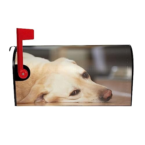 Gelber Labrador Retriever Briefkastenabdeckungen Bauernhaus Dekor Briefkasten Wrap Magnetische Outdoor Post Abdeckung Patriotisch für Garten Hof 53,3 x 45,7 cm von FURLOU