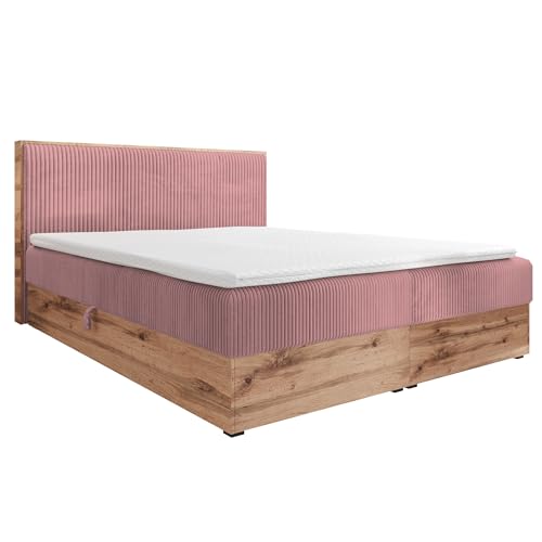 FURNISTAR Boxspringbett TILIA Doppelbett mit Bonellmatratze Bett mit Topper und Bettkasten Cord Stoff Polsterbett mit Kopfteil Modern Schlaffzimmer Wotan Plattet (120x200 Rosa) von FURNISTAR