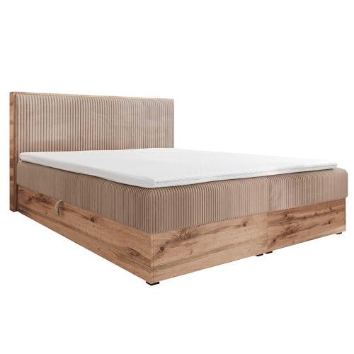 FURNISTAR Boxspringbett TILIA Doppelbett mit Bonellmatratze Bett mit Topper und Bettkasten Cord Stoff Polsterbett mit Kopfteil Modern Schlaffzimmer Wotan Plattet (160x200 Cappuccino) von FURNISTAR