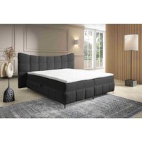 Boxspringbett Blosom 160x200 Doppelbett Topper und Metalfüße RF8 Dunkelbraun - Furnix Boxspringbett Blosom 160x200 Doppelbett Topper und Metalfüße RF8 Dunkelbraun - Furnix von FURNIX
