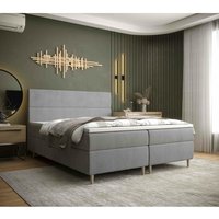 Expressversand Furnix Polsterbett felise 140x200 Doppelbett Stellfüßen IT50 Grau Expressversand Furnix Polsterbett felise 140x200 Doppelbett Stellfüßen IT50 Grau von FURNIX