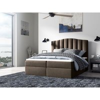 FURNIX Polsterbett CASABRIA 200x200 Doppelbett mit Bettkasten CS2308 FURNIX Polsterbett CASABRIA 200x200 Doppelbett mit Bettkasten CS2308 von FURNIX