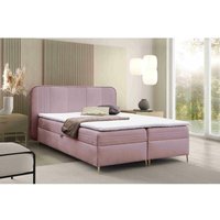 Furnix - Boxspringbett Alisom 120x200 mit Bettkasten & Topper F9 Lila Furnix - Boxspringbett Alisom 120x200 mit Bettkasten & Topper F9 Lila von FURNIX