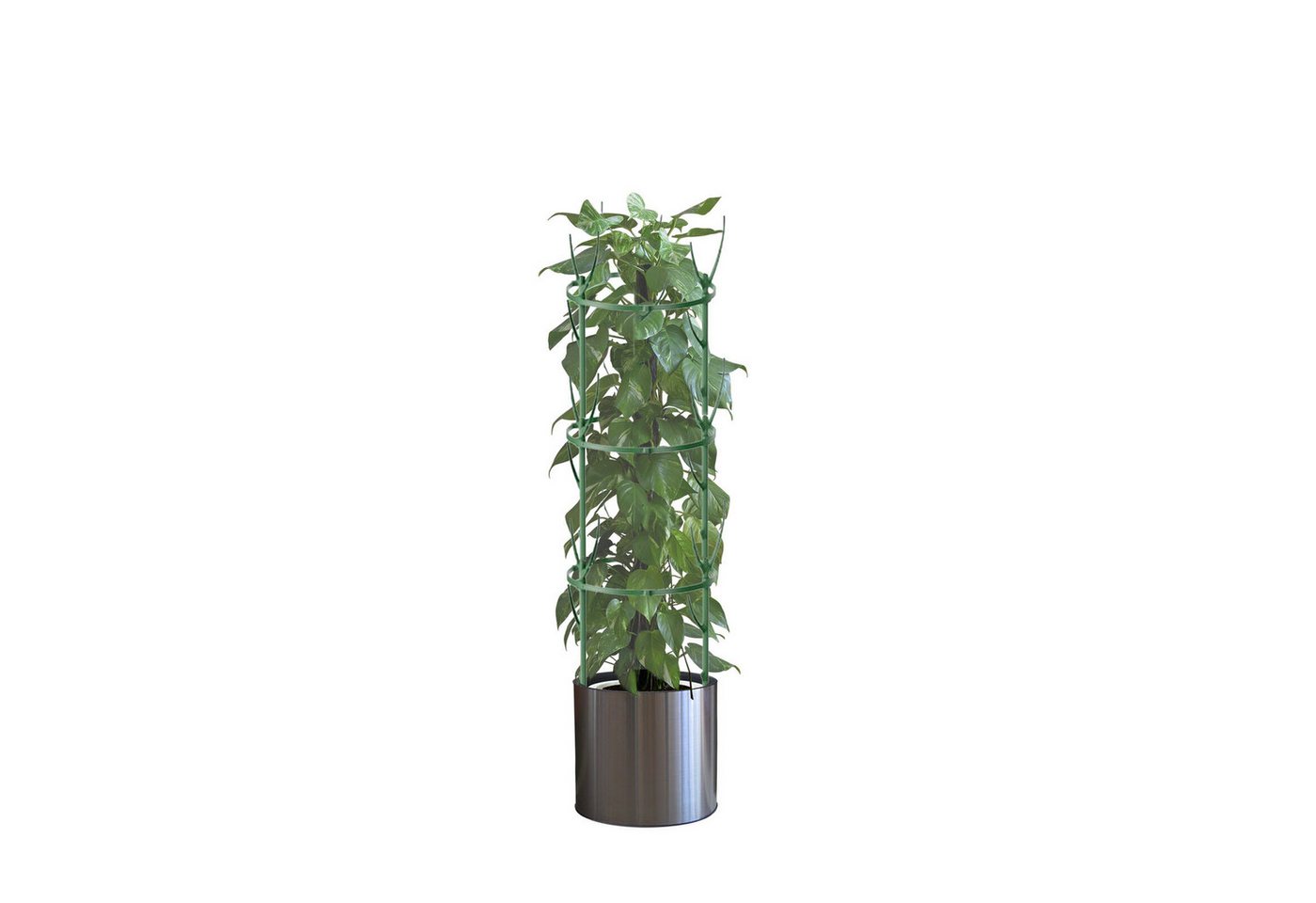 FUROKOY Spalier abnehmbare Zweig-Pflanzenstützstäbe-Set, 5 St., Zweig-Pflanzenstäbe mit Pflanzenbändern, Zweigspalier für Innen- und Außenbereich, Topfpflanzen, Blumen FUROKOY Spalier abnehmbare Zweig-Pflanzenstützstäbe-Set, 5 St., Zweig-Pflanzenstäbe mit Pflanzenbändern, Zweigspalier für Innen- und Außenbereich, Topfpflanzen, Blumen von FUROKOY